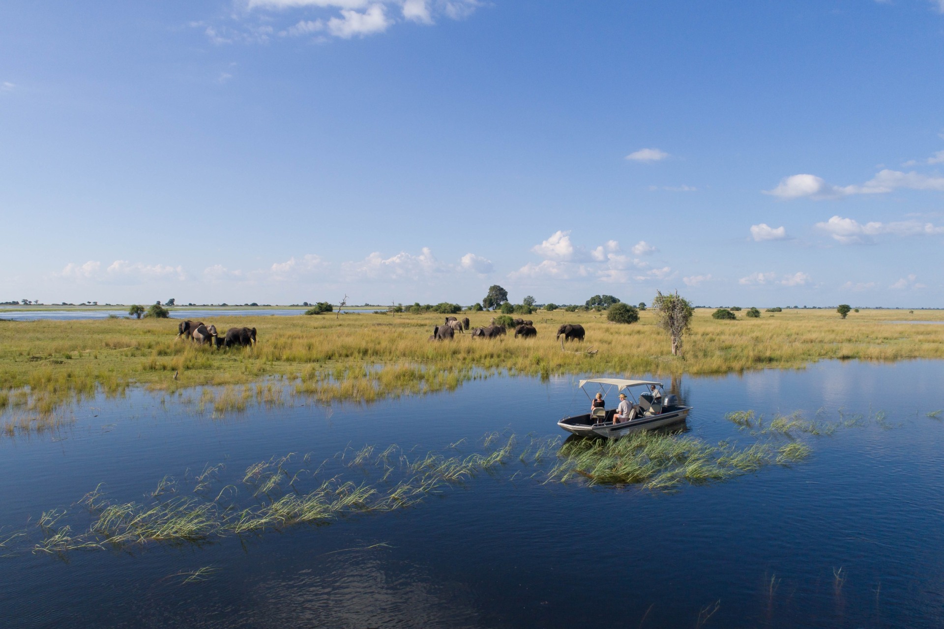 Bootfahren mit Elefantenbeobachtung in Namibia